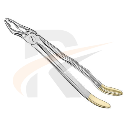 Extracting forceps, anat.