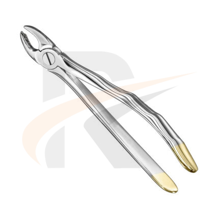 Extracting forceps, anat.