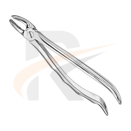 Extracting forceps, anat.