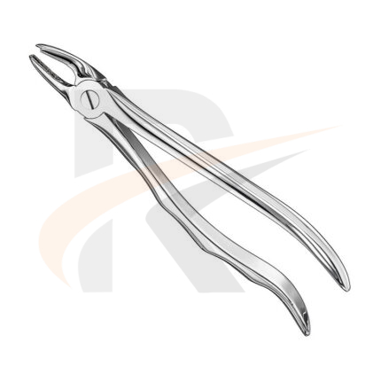 Extracting forceps, anat.