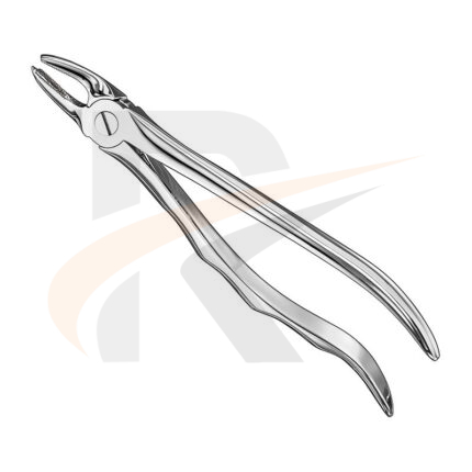 Extracting forceps, anat.