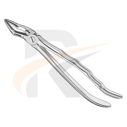 Extracting forceps, anat.