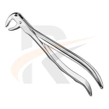 Extracting forceps, anat.
