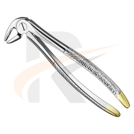 Extracting forceps, engl.