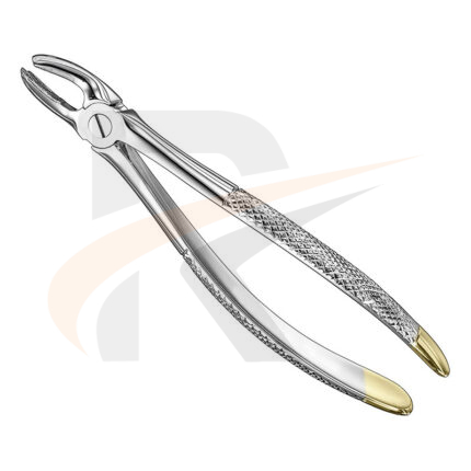 Extracting forceps, engl.