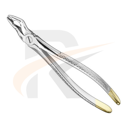 Extracting forceps, engl.