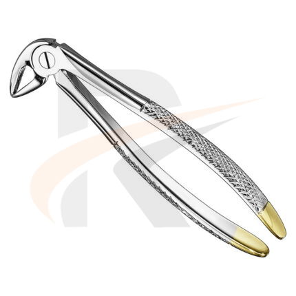 Extracting forceps, engl.