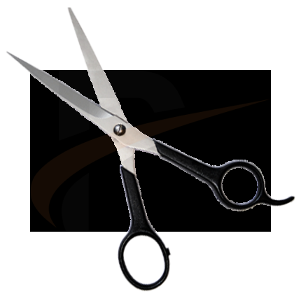 Scissors