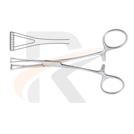 Collin Organ Grasping Forcep